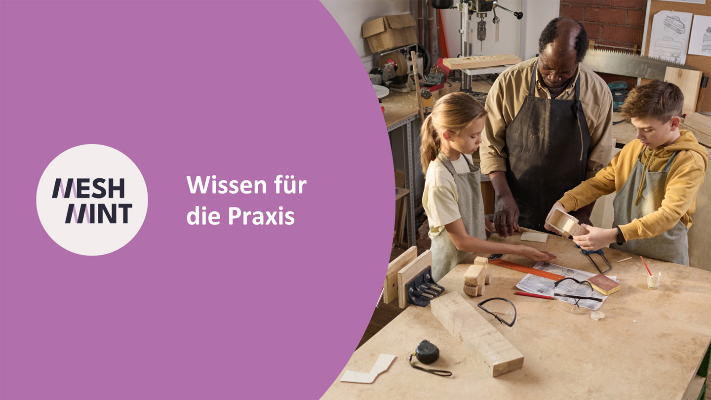 Mesh_MINT: Wissen für die Praxis