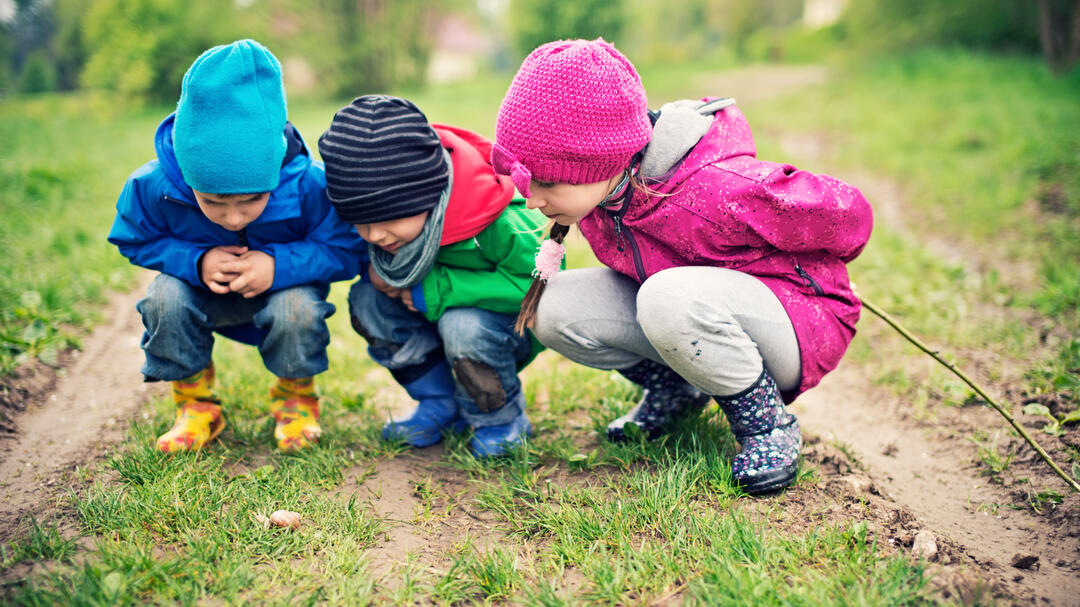 Kinder entdecken in der Natur