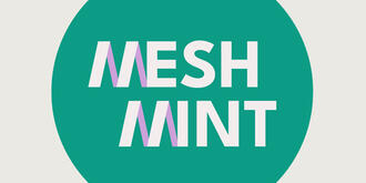 Mesh_MINT (Logo)