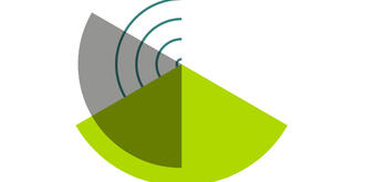 MINT-Analysen