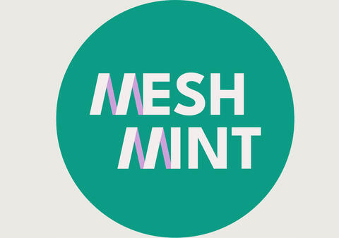 Mesh_MINT (Logo)