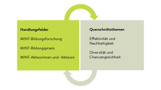 MesH_MINT-Projektstruktur 