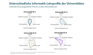 Unterschiedliche Informatik-Lehrprofile der Universitäten (Grafik) Unterschiedliche Informatik-Lehrprofile der Universitäten (Grafik)
