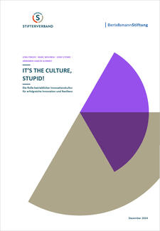 It's The Culture, Stupid! It's The Culture, Stupid! (Cover)