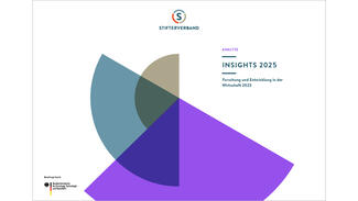 FuE-Insights 2025 FuE-Insights 2025 (Cover der Publikation)
