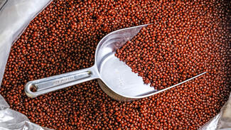 Biomaterialien (Foto: Ansgar Pudenz/DZP) Biomaterialien (Foto: Ansgar Pudenz/DZP)