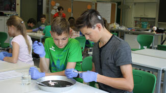 Kusarbeit bei der JuniorAkademie Neuerburg (Foto: Bildung & Begabung)