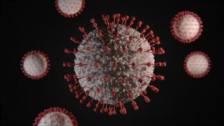 Virus (Bild: Viktor Forgas/Unsplash)