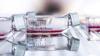 Für den Deutschen Zukunftspreis 2022 nominiertes Projekt (Foto: Ansgar Pudenz/DZP)