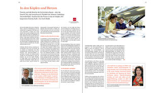 duz-Special Diversity-Audit