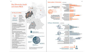 duz-Special Diversity-Audit