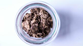 Naturkautschuk aus Russischem Löwenzahn