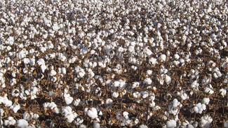 Eine Uni - ein Buch (Still aus dem Video)