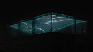 Eine Uni – ein Buch (Video)