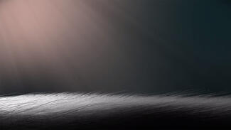 Fast Forward Science: "Warum sind wir kitzelig?" (Video)