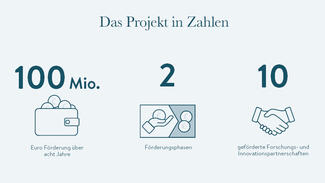 Das Projekt in Zahlen (Grafik)