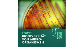 Forschergeist 099 (Cover) (Foto: iStock/Scharvik)