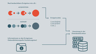 Umsetzung von Unternehmensergebnissen in eine Datenbank zur Erfassung der Unternehmensdynamik