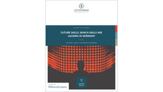 Which skills are lacking in Germany (Cover)