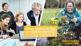 Hochschulperle im Dezember 2018: Wissensregion Düsseldorf