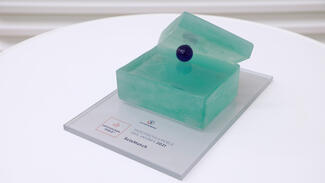 Hochschulperle des Jahres 2021: Preisverleihung (Foto: Uwe Dettmar)