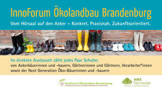 Hochschulperle Juli 2017: InnoForum Ökolandbau Brandenburg