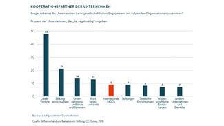 Grafik aus Kooperationen mit internationalen NGOs