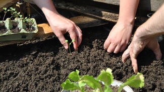Primus des Monats Februar 2018: Minitopia (Foto: Uwe Wichmann)