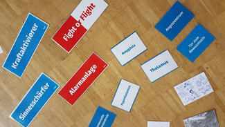 Primus des Monats Dezember 2018: Brain Awareness (Foto: On The Move e.V.)