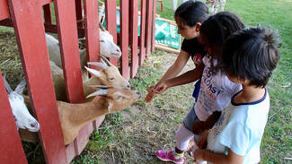 Primus des Monats Januar 2019 (Foto: Flüchtlingsfamilienhilfe Oberursel)