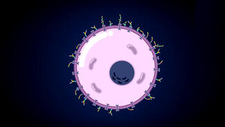 Peter Seeberger - Pionier der Glykowissenschaften (Video)