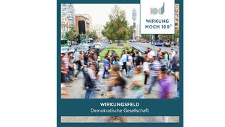Wirkungsfeld "Demokratische Gesellschaft"